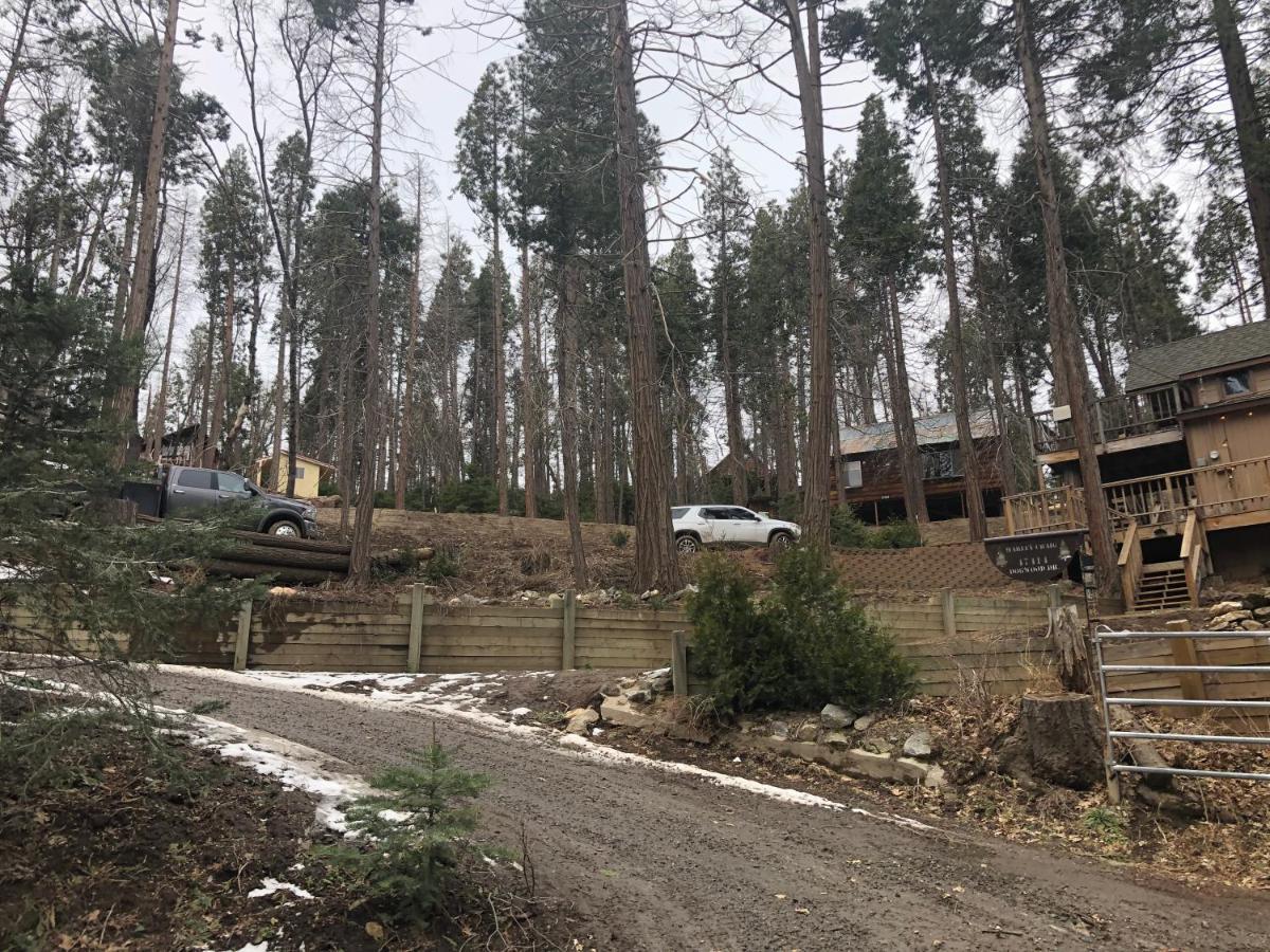 Sequoia National Forest Cabinh Panorama Heights Ngoại thất bức ảnh