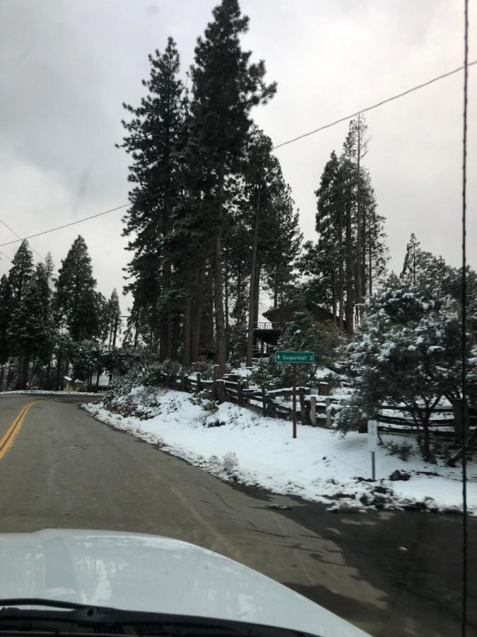 Sequoia National Forest Cabinh Panorama Heights Ngoại thất bức ảnh